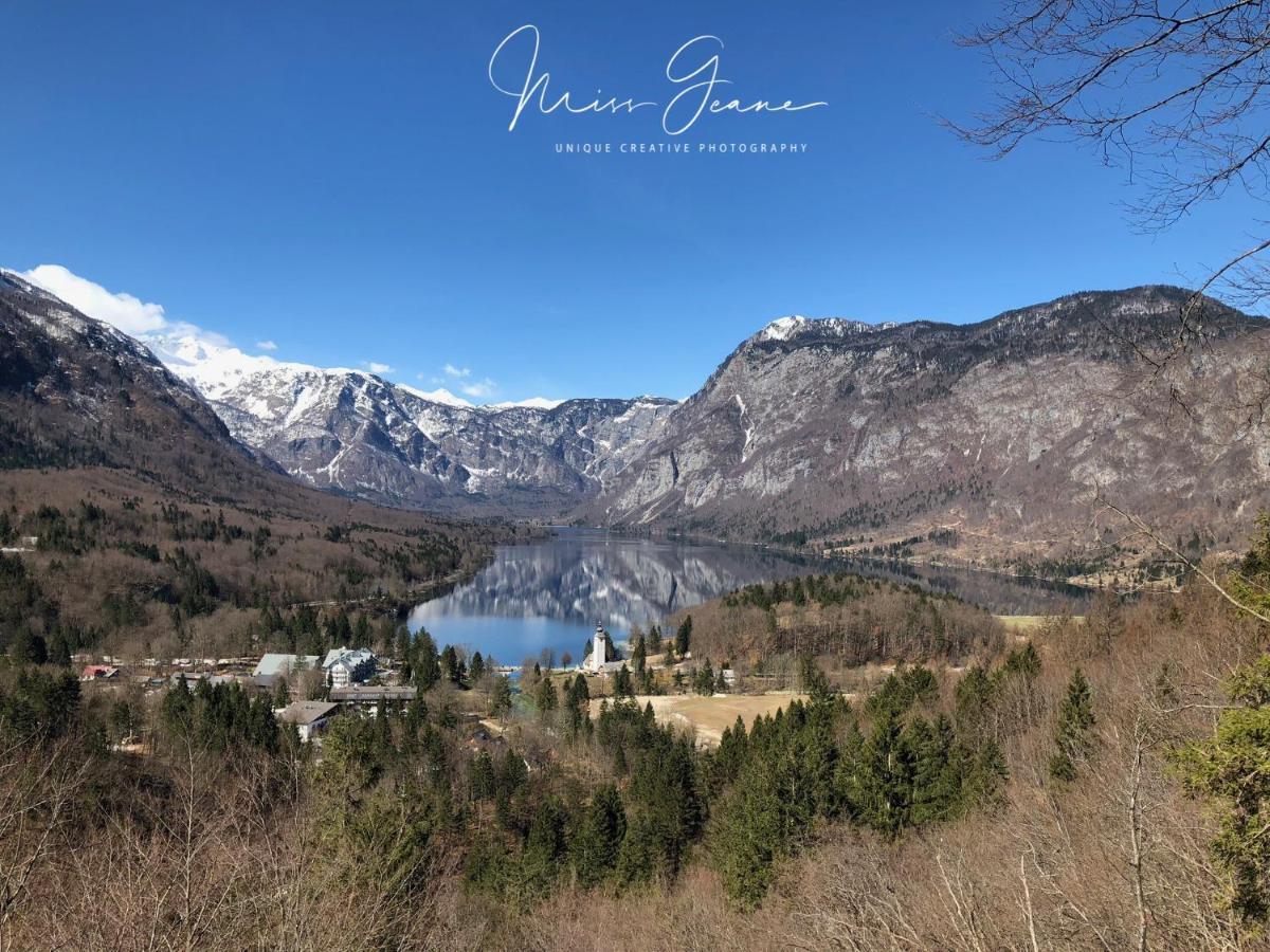 Apartments Alteri Domi Bohinj Zewnętrze zdjęcie